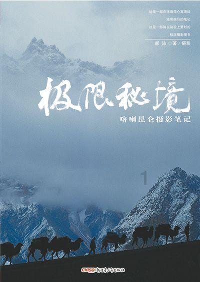 电影廉正风云剧情是什么意思？游戏画面