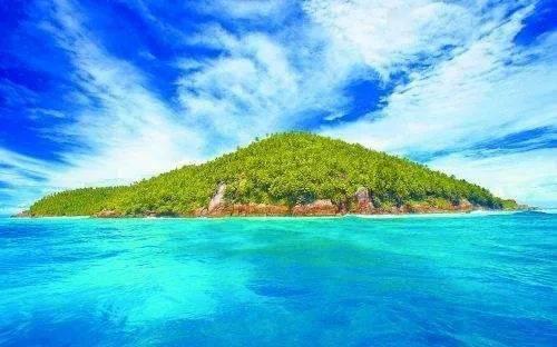 单身狗大作战