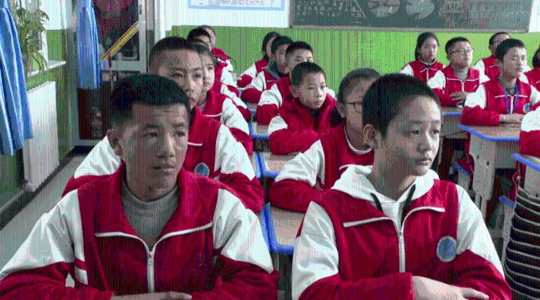 2024春节档电影市场繁荣,多部佳作齐聚一堂