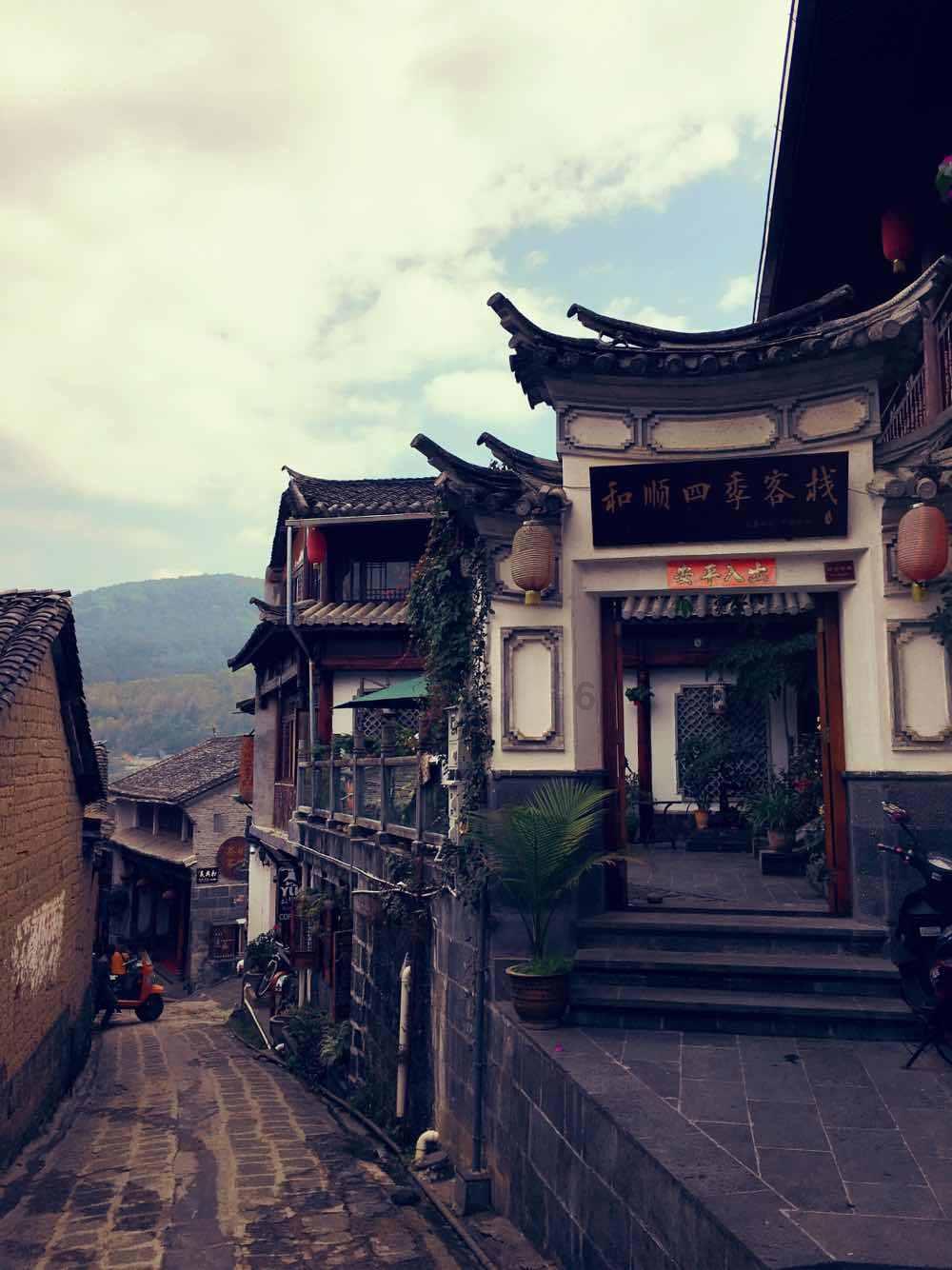 金刚鹦鹉逃生